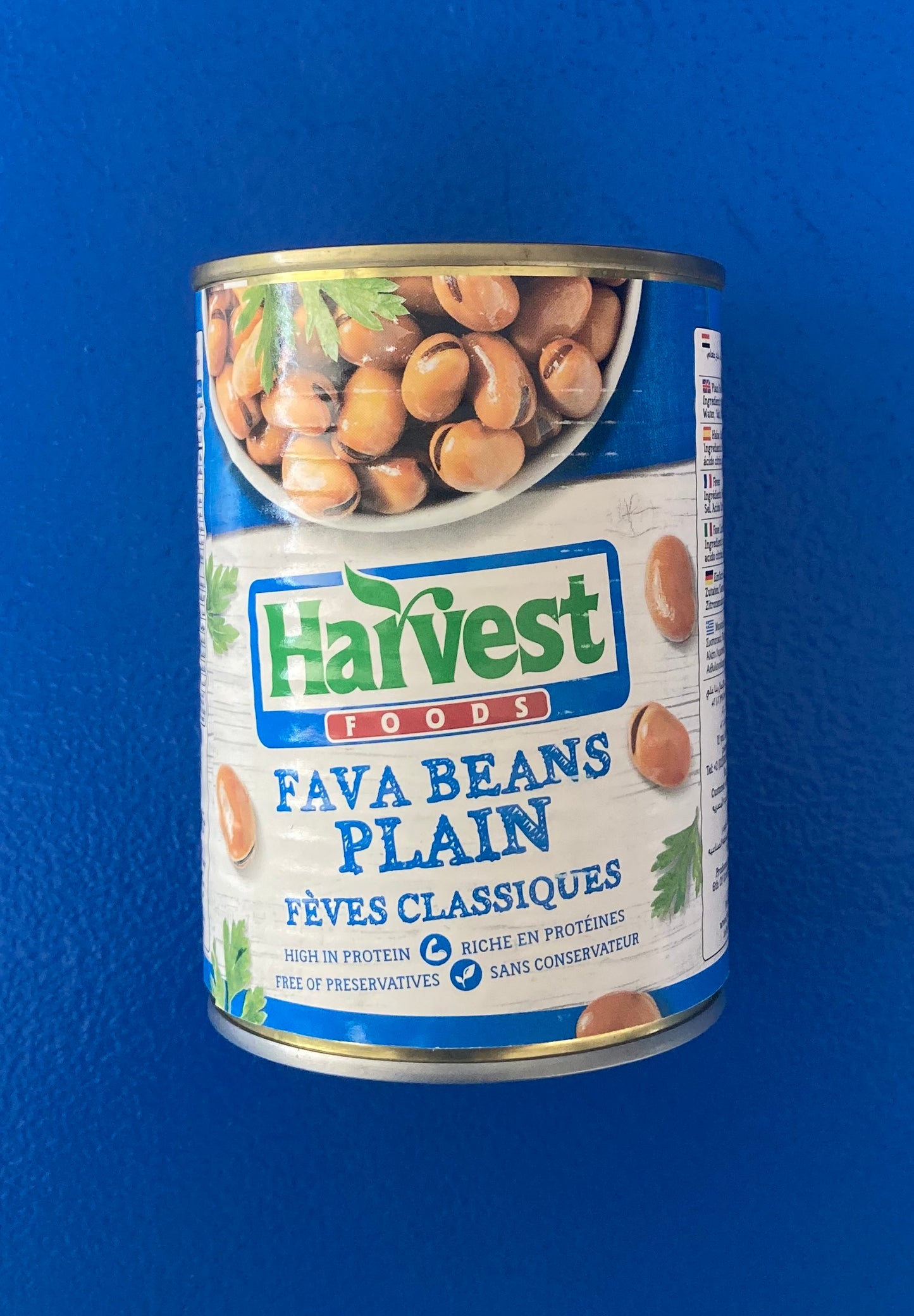 Harvest Foods Fava Beans - Plain (canned)